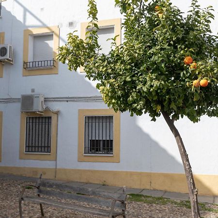 Nayber Gavia - Nuevo Y Centrico Apartamento En Cordoba Apartment Exterior photo