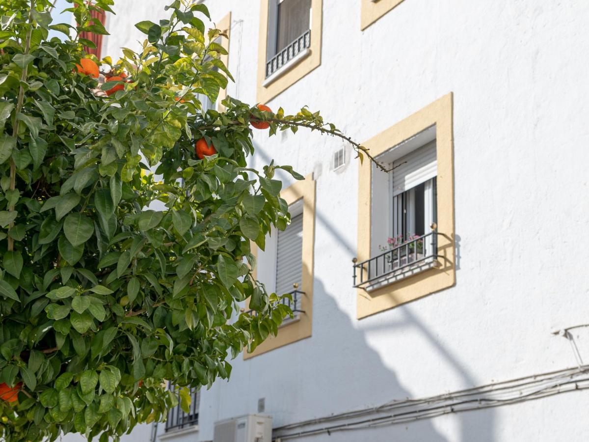 Nayber Gavia - Nuevo Y Centrico Apartamento En Cordoba Apartment Exterior photo